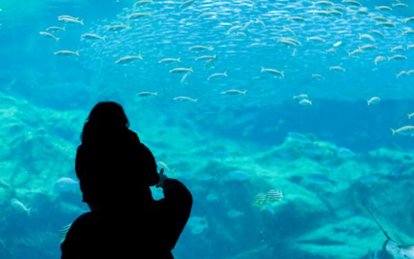 CRETAquarium på Kreta