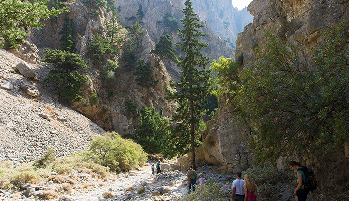 Kreta Samariaravinen