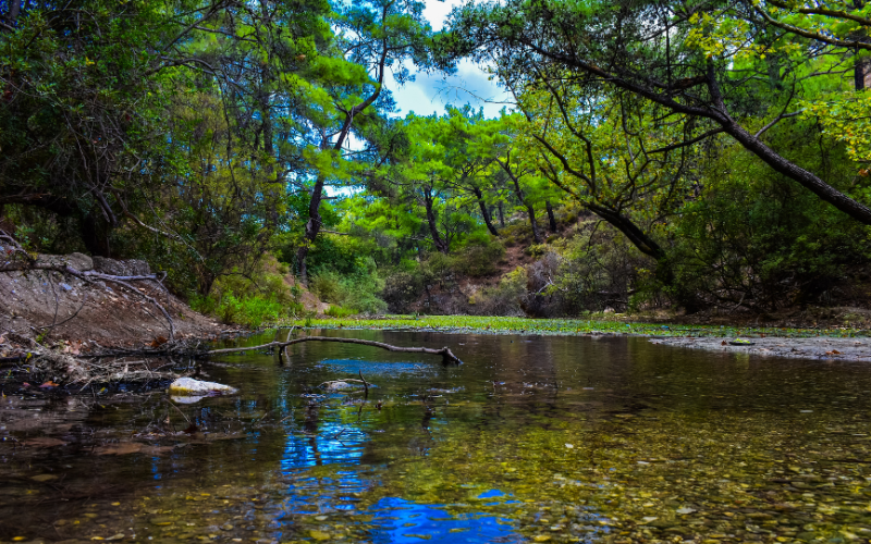 Seven Springs, Rhodos